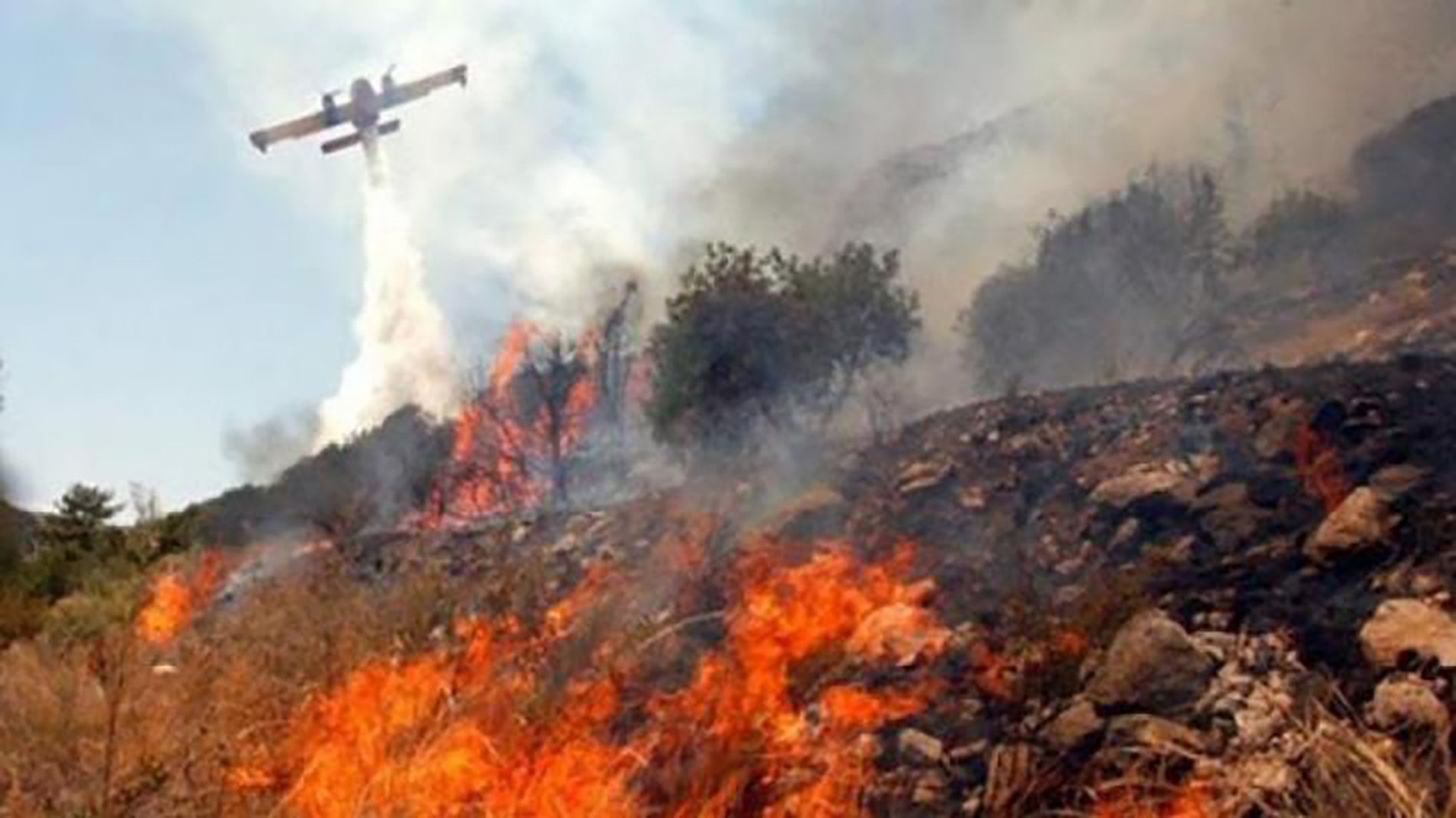 اليونان: فرق الإطفاء تسيطر على عشرات الحرائق وإيقاف شخص بتهمة افتعال أحدها