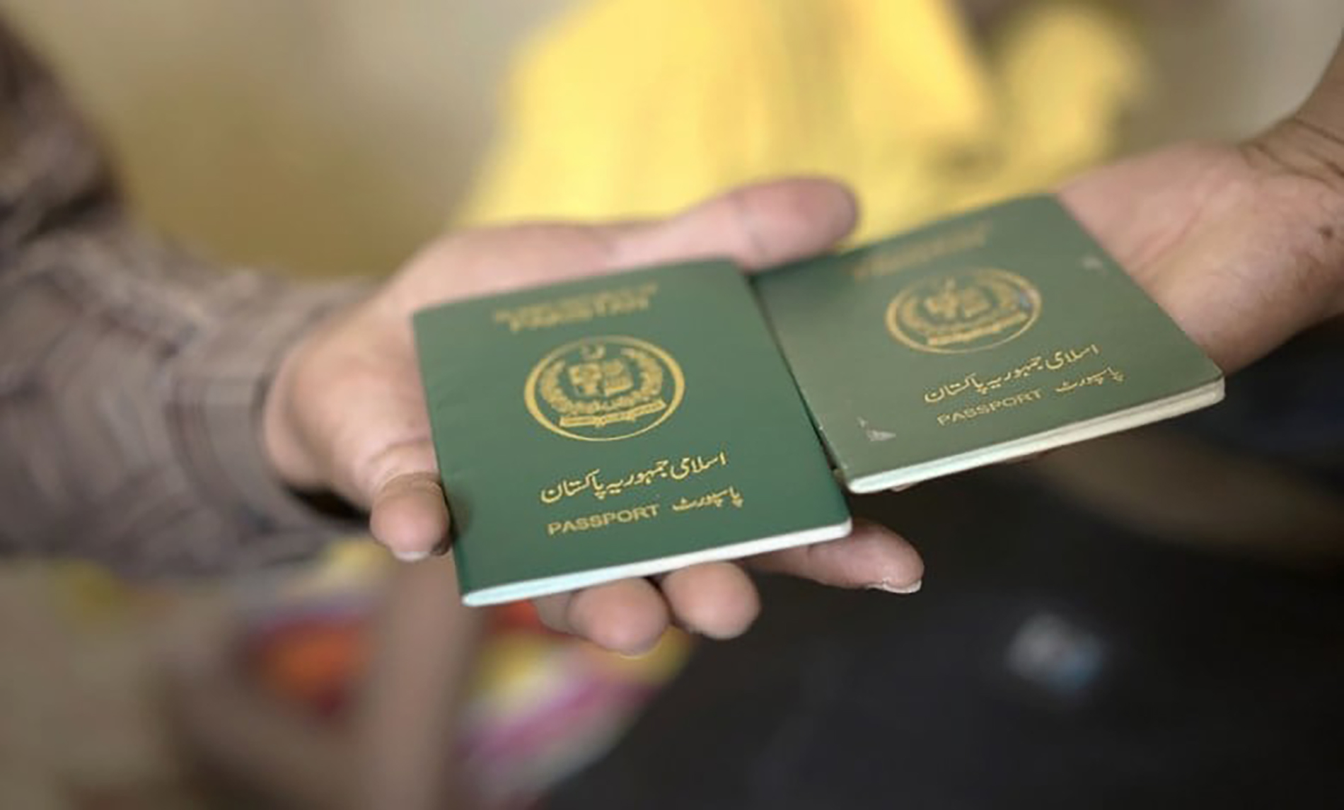 برلماني إيطالي: سرقة ألف تأشيرة من سفارتنا في باكستان ووزير خارجيتنا نائم