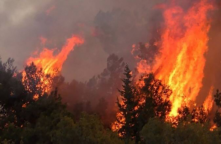 أسوأ حريق غابات في تاريخ قبرص يؤدي بحياة أربعة أشخاص يعتقد أنهم عرب